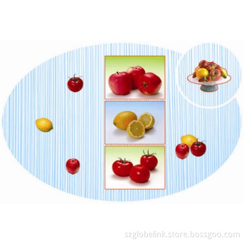 PP Placemat for Kitchen 161
